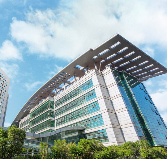 浙江旭日纖維有限公司,浙江旭日纖維有限公司，冰絲、涼感PE纖維、中分子PE絲、丙綸細旦絲、玉米纖維、PLLA纖維、PLA纖維、玉米纖維FDY、丙綸DTY絲、丙綸超細旦絲、丙綸FDY細旦絲、丙綸絲、丙綸高強絲、丙綸普強絲、高強丙綸絲、丙綸FDY絲、丙綸長絲、超細旦絲